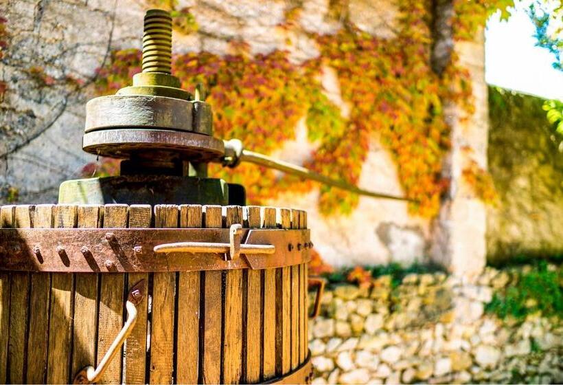 شقة غرفة واحدة, Villa Santa Caterina