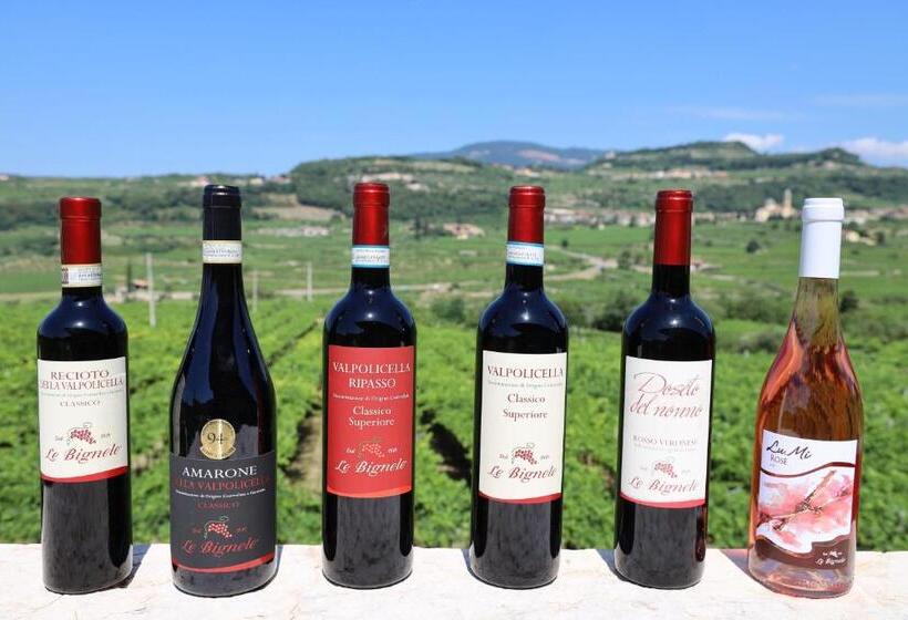 Одноместный Номер Basic, Le Bignele