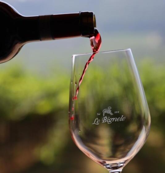 Одноместный Номер Basic, Le Bignele