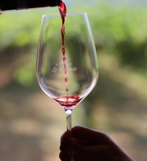 Номер Стандарт, Le Bignele