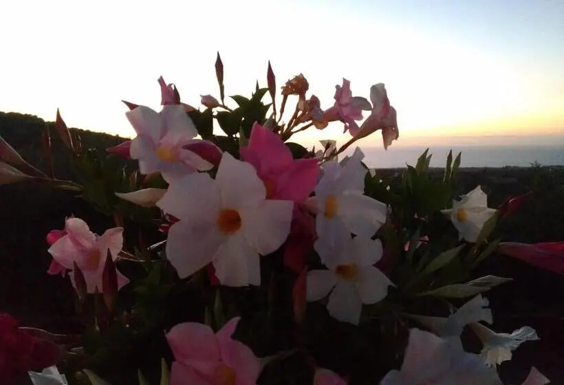 スタンダードルーム, Agriturismo Le Campanelle   Sicilia   Cefalù