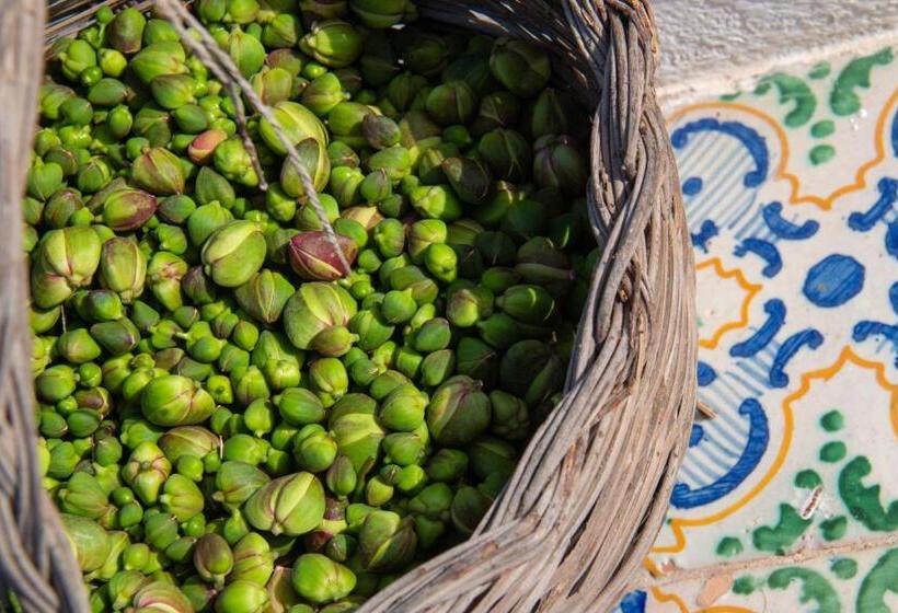 اتاق لوکس, Agriturismo Al Cappero