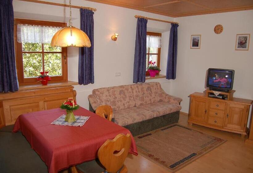 1階の1ベッドルームアパートメント, Vilahof