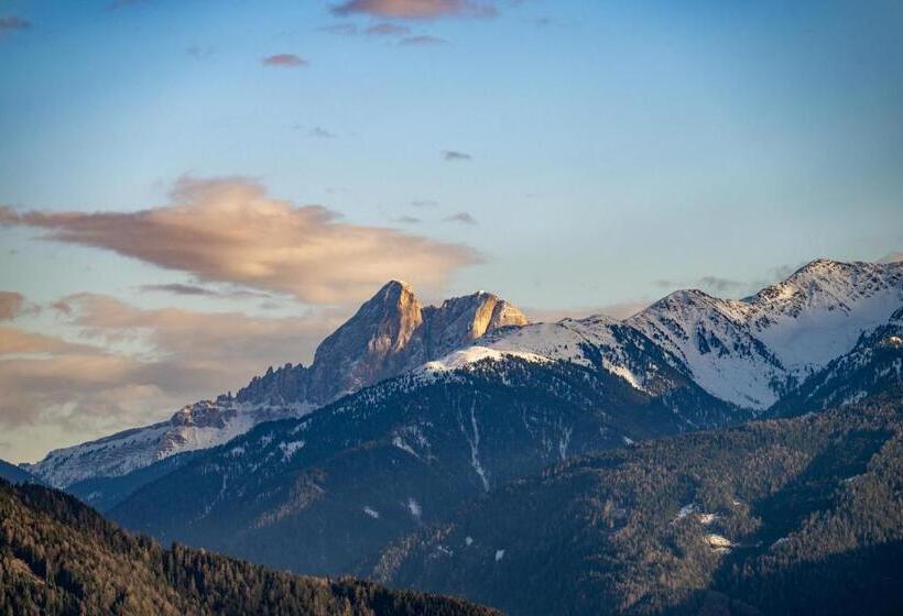 חדר סופריור, Schmiedhof