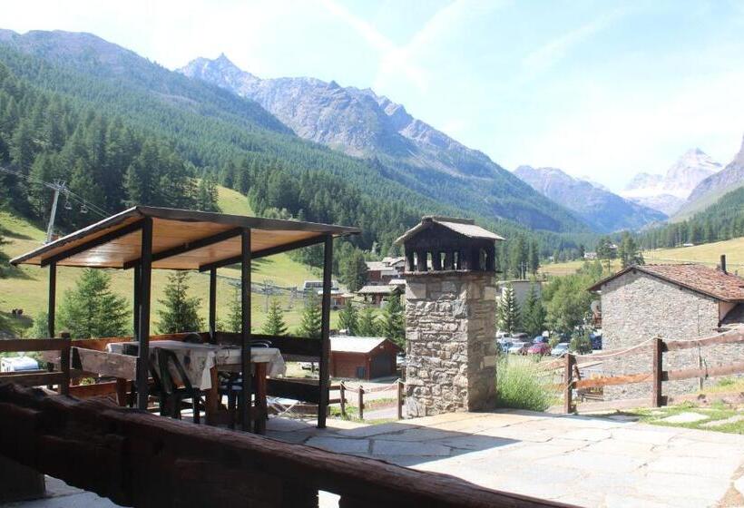 חדר סטנדרט, Arthemisia