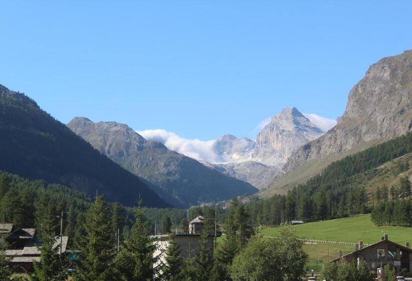 חדר סטנדרט, Arthemisia