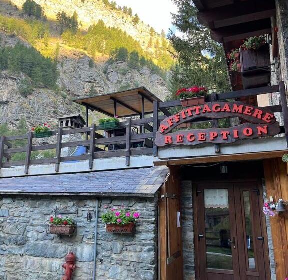 חדר סטנדרט, Arthemisia