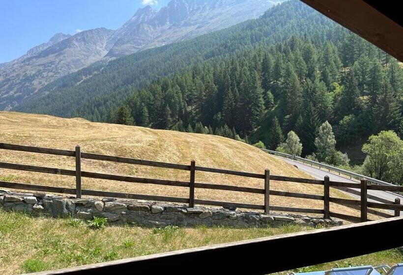 חדר סטנדרט יחיד, Arthemisia