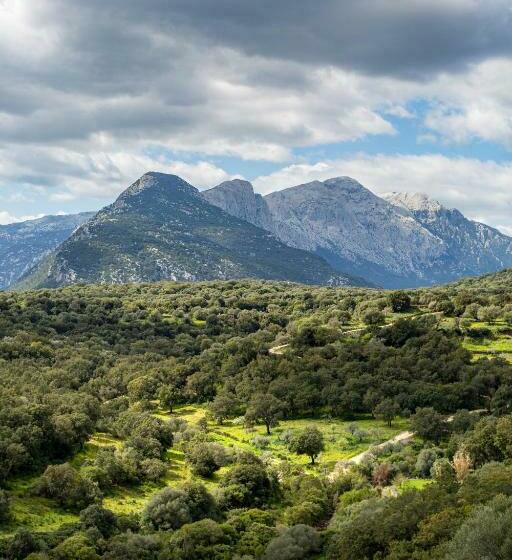 غرفة قياسية, Agriturismo Canales