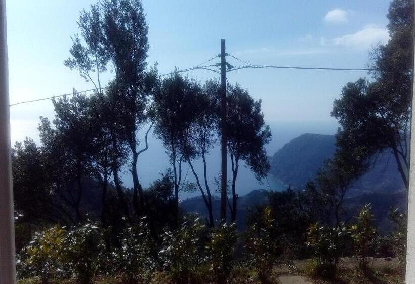 اتاق عادی, I Lecci Di Soviore