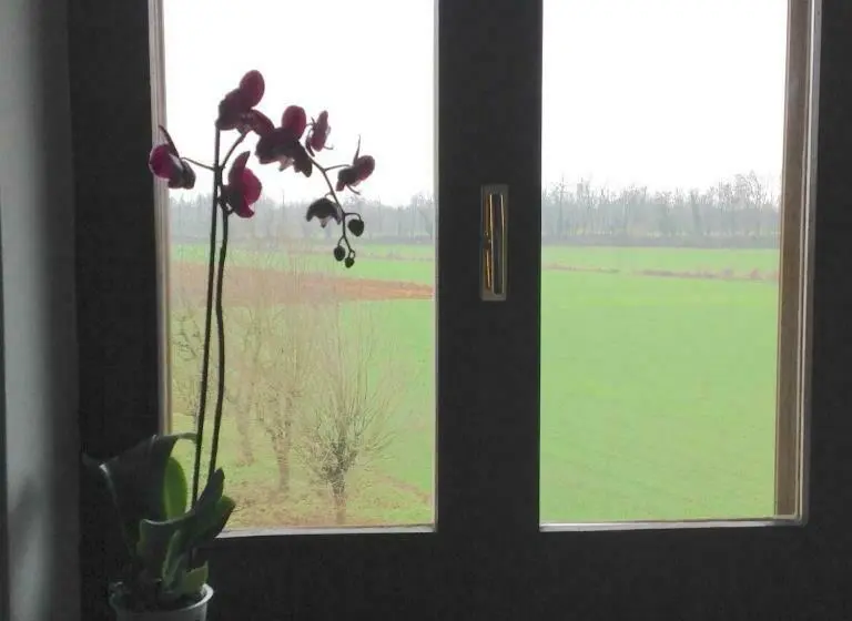 デラックスルーム, Agriturismo La Morosina