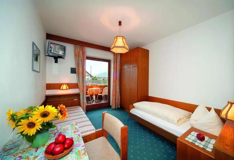 Standard Yhden Hengen Huone, Pension Pichler