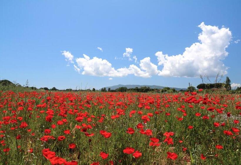 4인용 스탠다드 룸, Agriturismo La Facenda