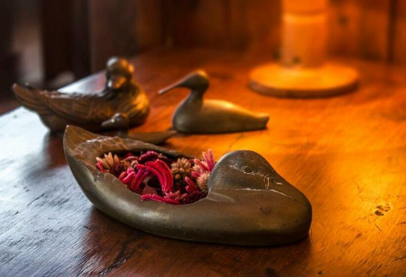 1ベッドルームアパートメント, Valgrande Bibione Casone