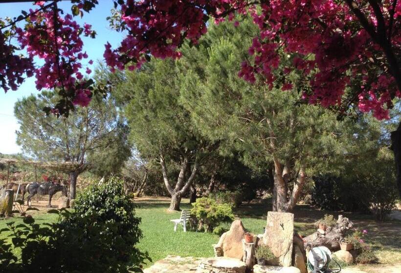 スタンダードルーム, Il Ruscello