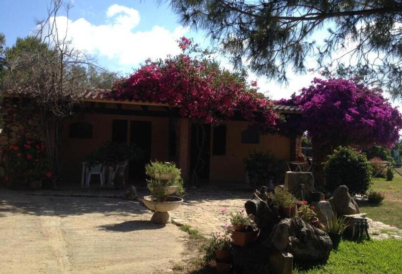 スタンダードルーム, Il Ruscello