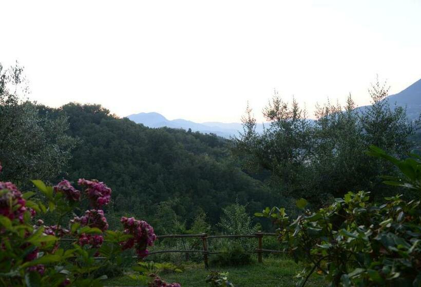スタンダードルーム, Agriturismo Colle Tocci
