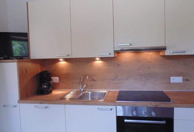 带1个卧室的带阳台的公寓, Großflatscherhof