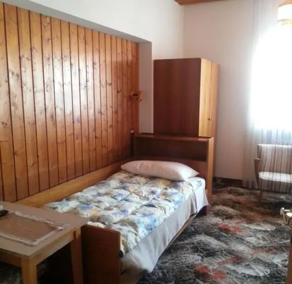 Standard Yhden Hengen Huone, Pension Panorama