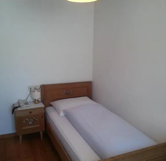 Standard Yhden Hengen Huone, Pension Panorama