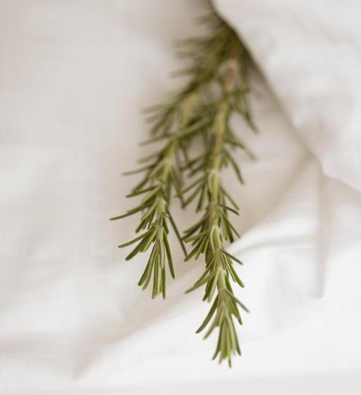 Апартаменты 2 Спальни, Residence Walchhof