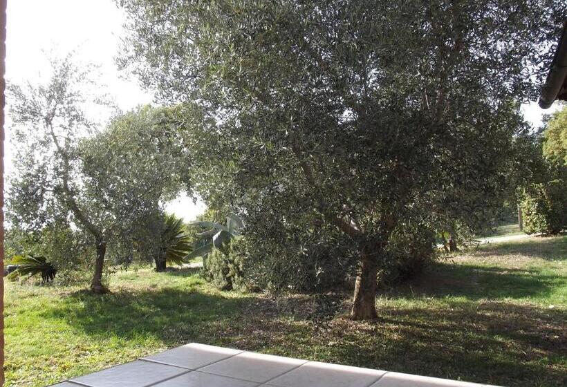 חדר סטנדרט, Agriturismo La Conserva