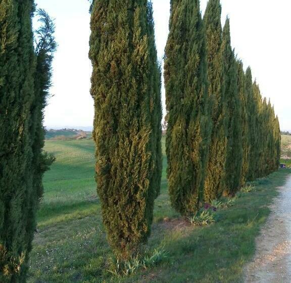 شقة غرفة واحدة مطلة على الحديقة, Villa Podere Cartaio Bio Estate Pool Airc