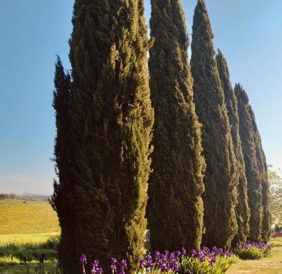 شقة غرفة واحدة مطلة على الحديقة, Villa Podere Cartaio Bio Estate Pool Airc