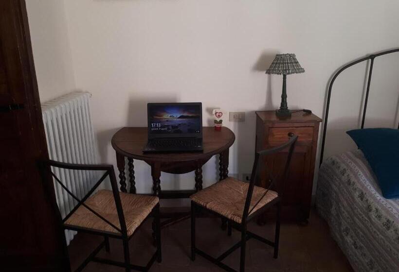 Chambre Standard, Clockwise