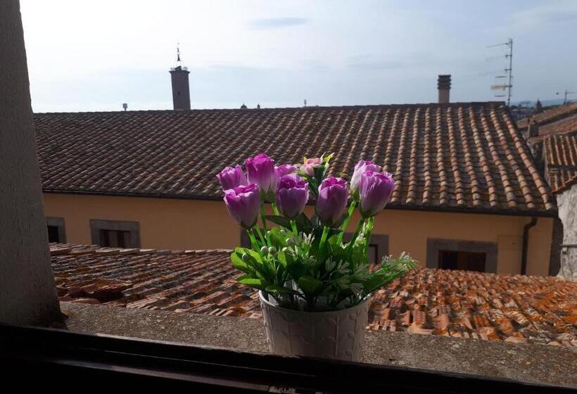 Chambre Standard Salle de Bain Extérieure, Clockwise
