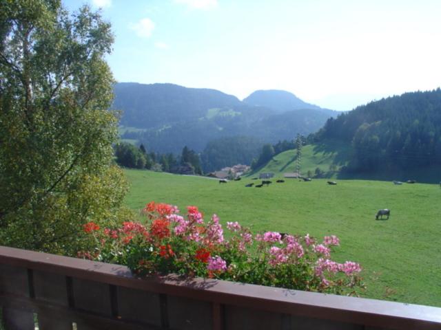 标准间带阳台, Haus Hafner