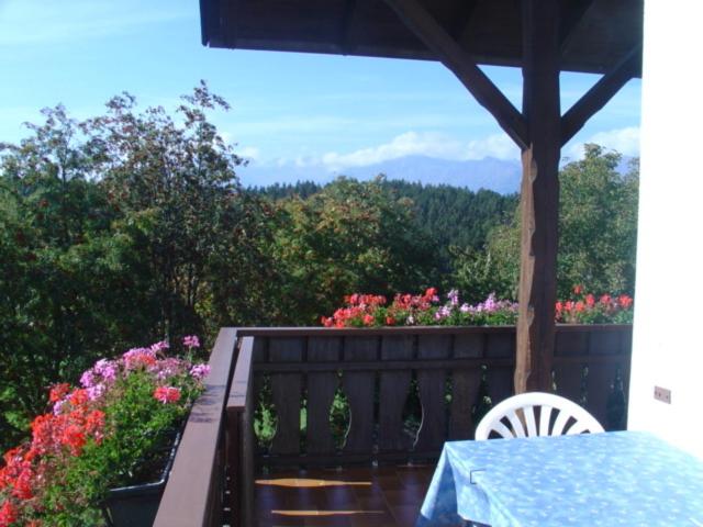 带1个卧室的带阳台的公寓, Haus Hafner