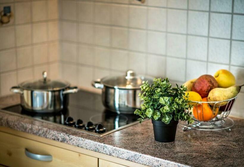 带1个卧室的公寓, Residence Angelika