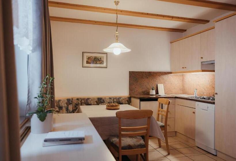 Апартаменты Basic 1 Спальня, Residence Chalet Pinis