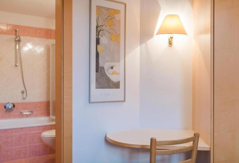 Апартаменты Basic 1 Спальня, Residence Chalet Pinis