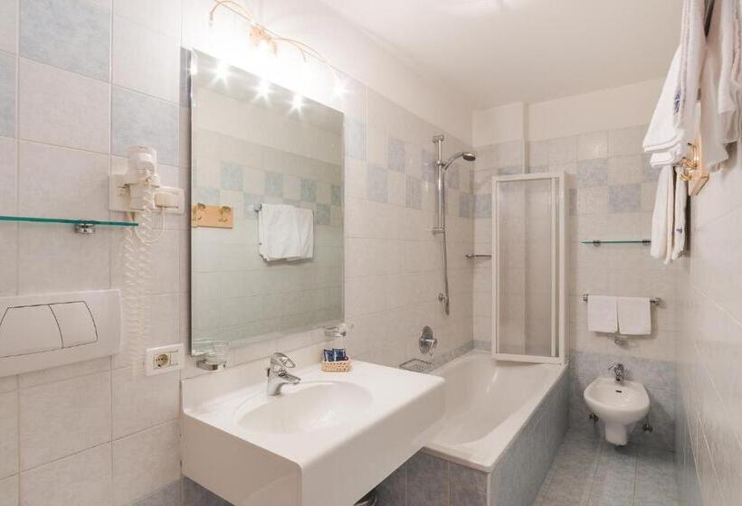 Апартаменты 1 Спальня, Residence Chalet Pinis