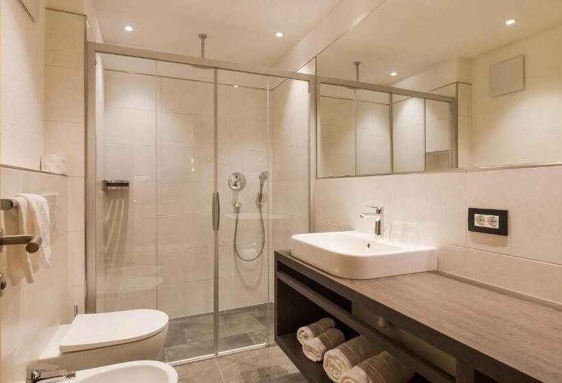 Апартаменты Superior 1 Спальня, Residence Chalet Pinis