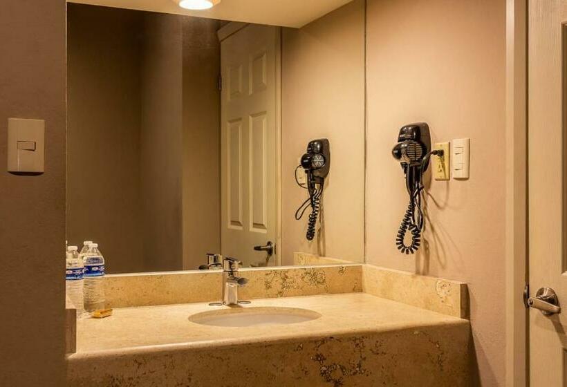 标准间, Bonitto Inn® Tampico Lomas