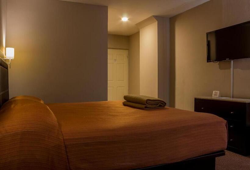 带大床的高级房间, Bonitto Inn® Tampico Lomas