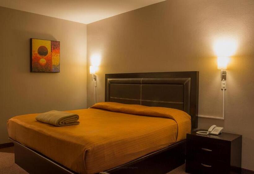 带大床的高级房间, Bonitto Inn® Tampico Lomas