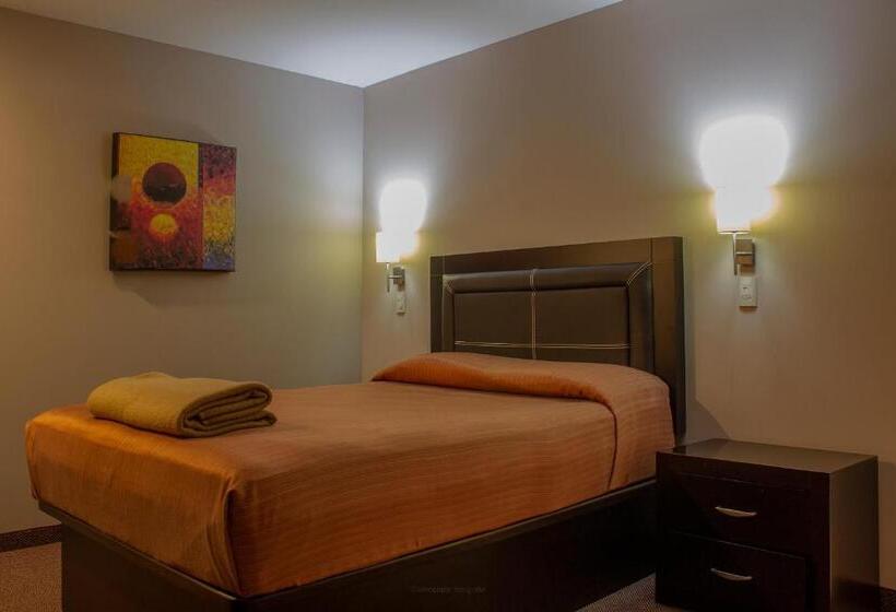 标准间, Bonitto Inn® Tampico Lomas