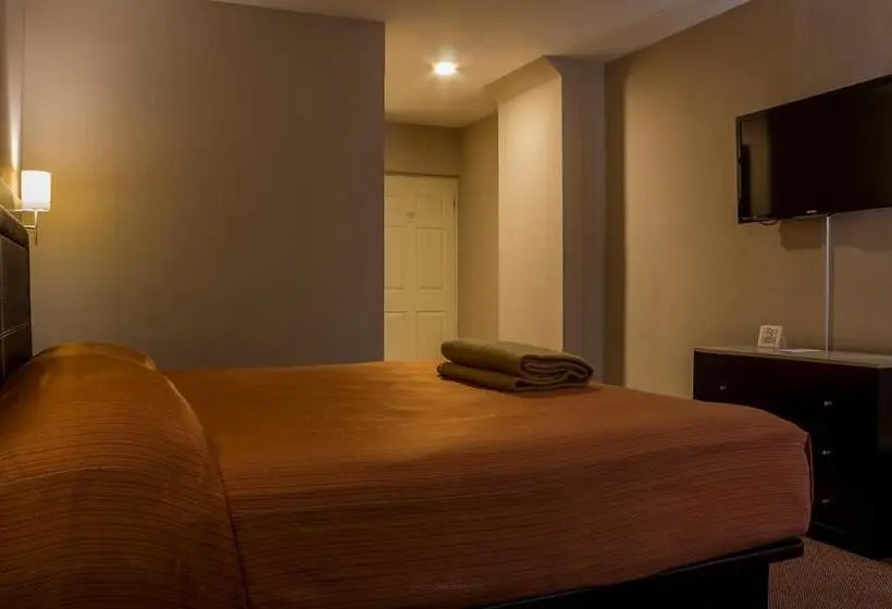 Superior-perhehuone, Bonitto Inn® Tampico Lomas