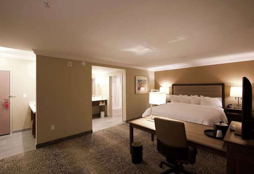 غرفة قياسية سرير كينج, Hampton Inn & Suites Johns Creek