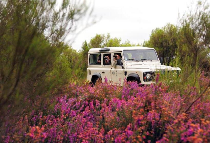 חדר סטנדרט נוף לבריכה, Les Abris Du Château