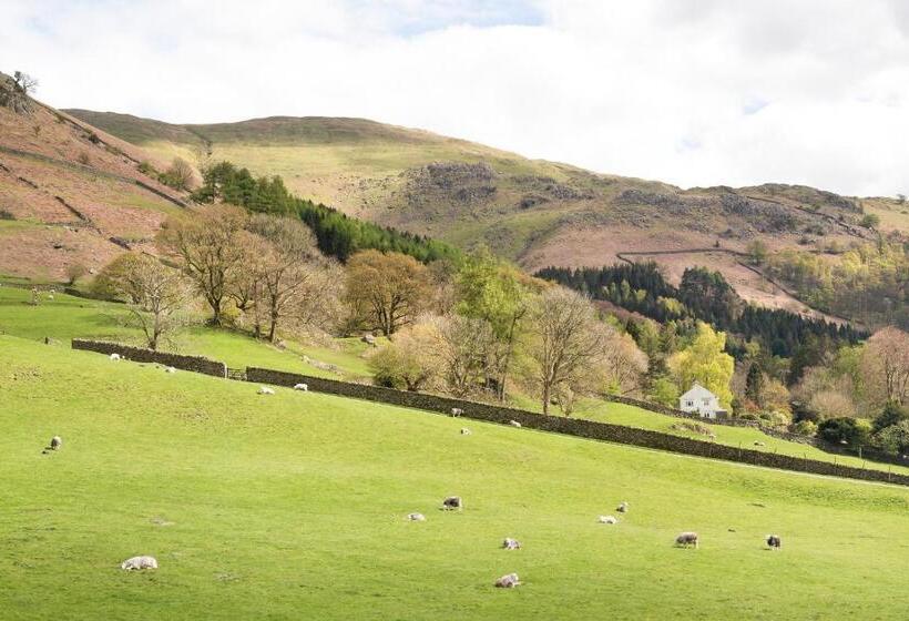 غرفة قياسية, The Traveller S Rest