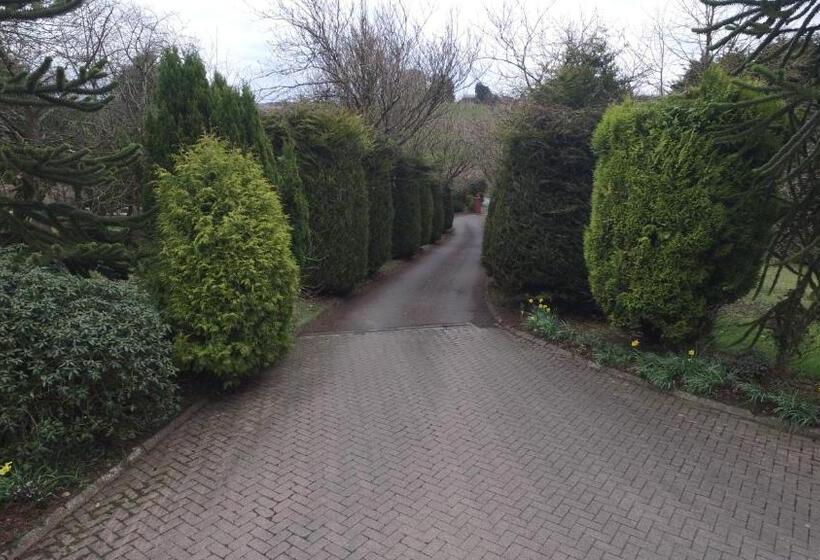 Номер Стандарт, Pinewood Lodge Guest House