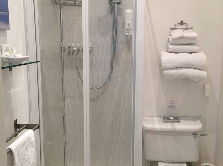 Номер Стандарт Трехместный, Dunedin Guest House