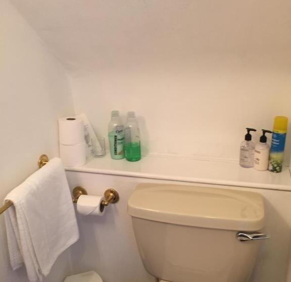 اتاق خانوادگی, Tanglin Guest House