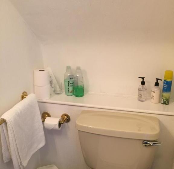 اتاق خانوادگی, Tanglin Guest House