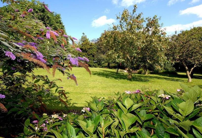 غرفة بريميوم مطلة على الحديقة, Marton Grange Country House